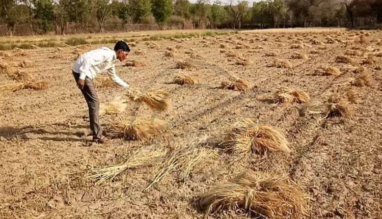 आठ साल बाद भी नहीं मिला काश्तकारों को मुआवजा
